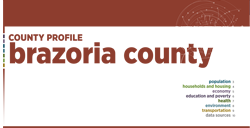 Brazoria County Profile